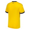 Maillot de Foot Derby County Third 2024-25